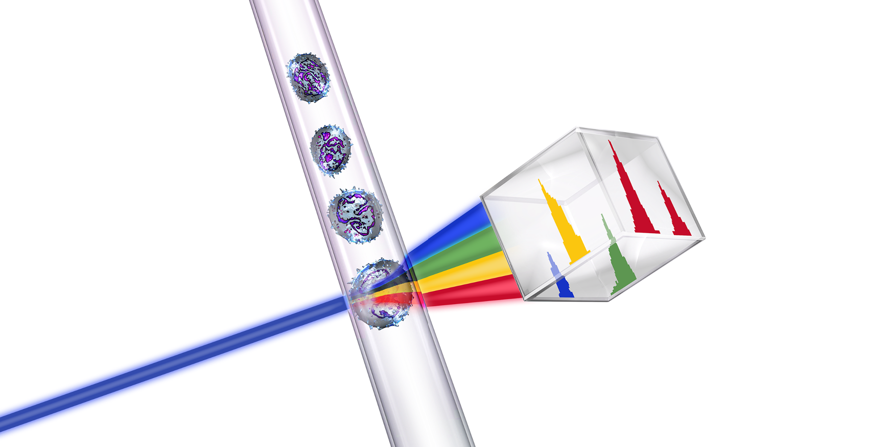 Illustration of  cells passing one by one through lasers, creating light scatter that will be analyzed.